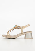 Scholl PALEA