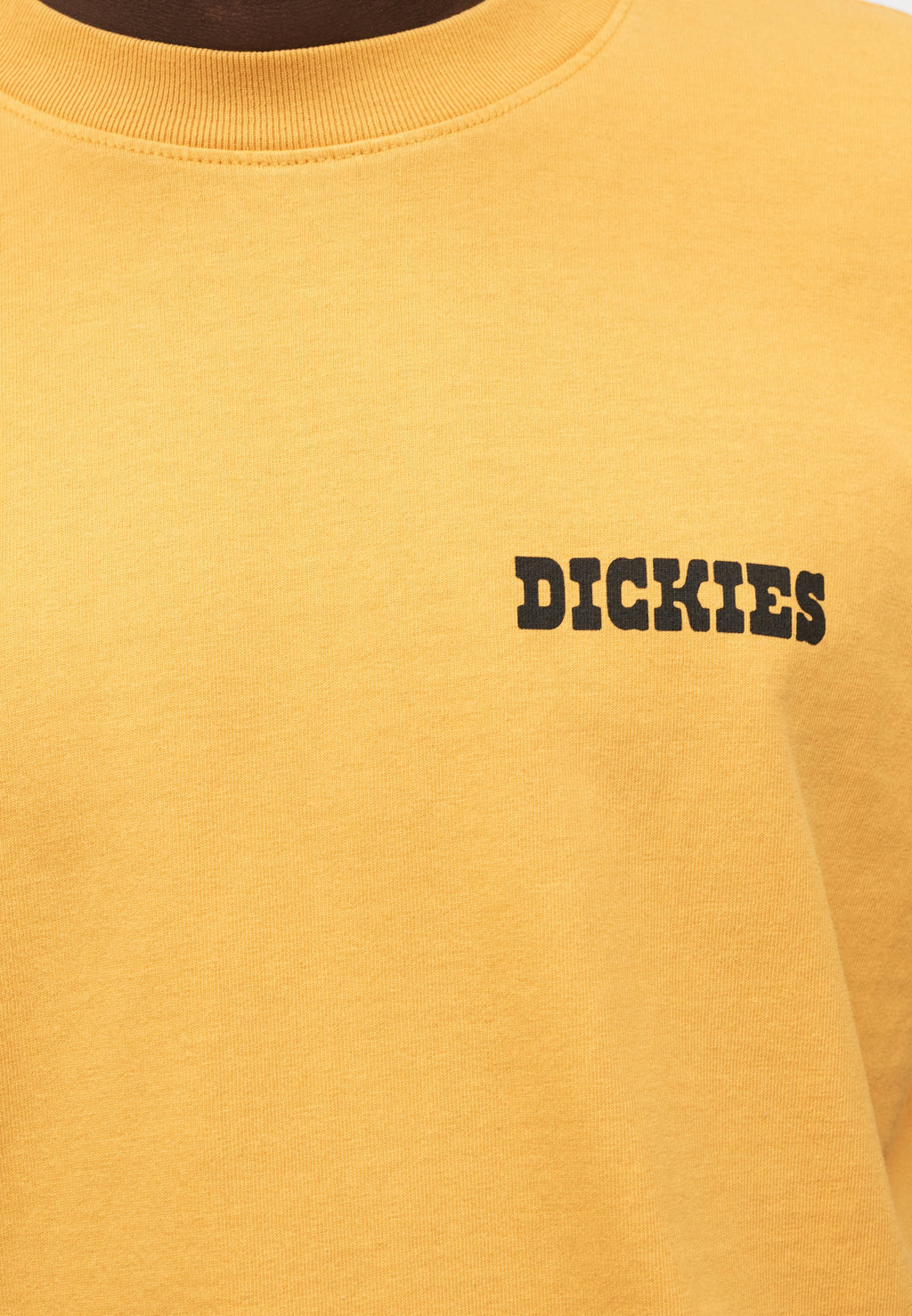 Dickies DARRTOWN TEE