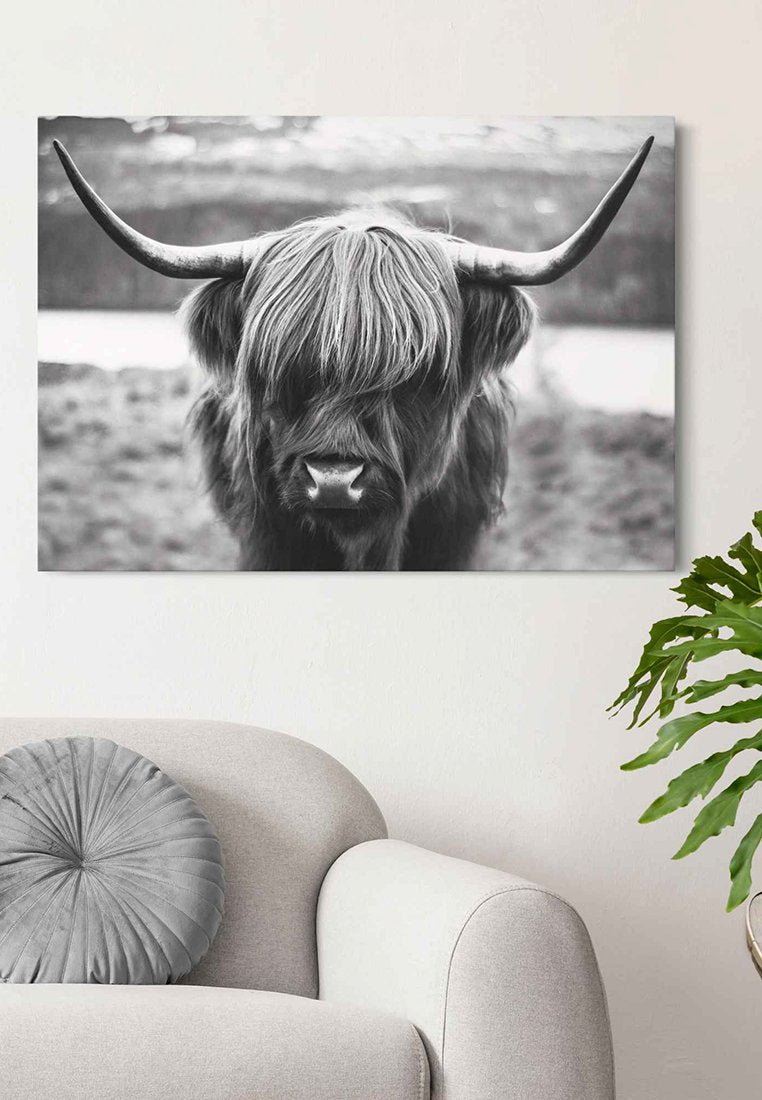 Orange Wallz HORNS IN FIELD