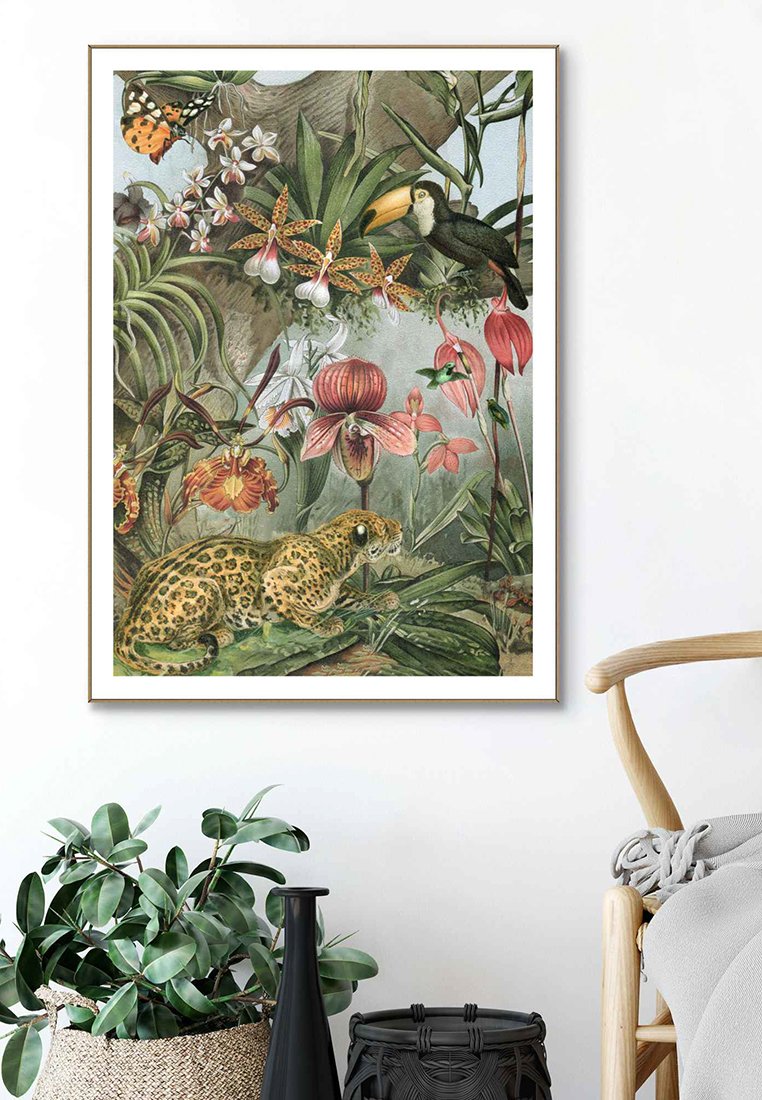 Orange Wallz JUNGLE NATURE