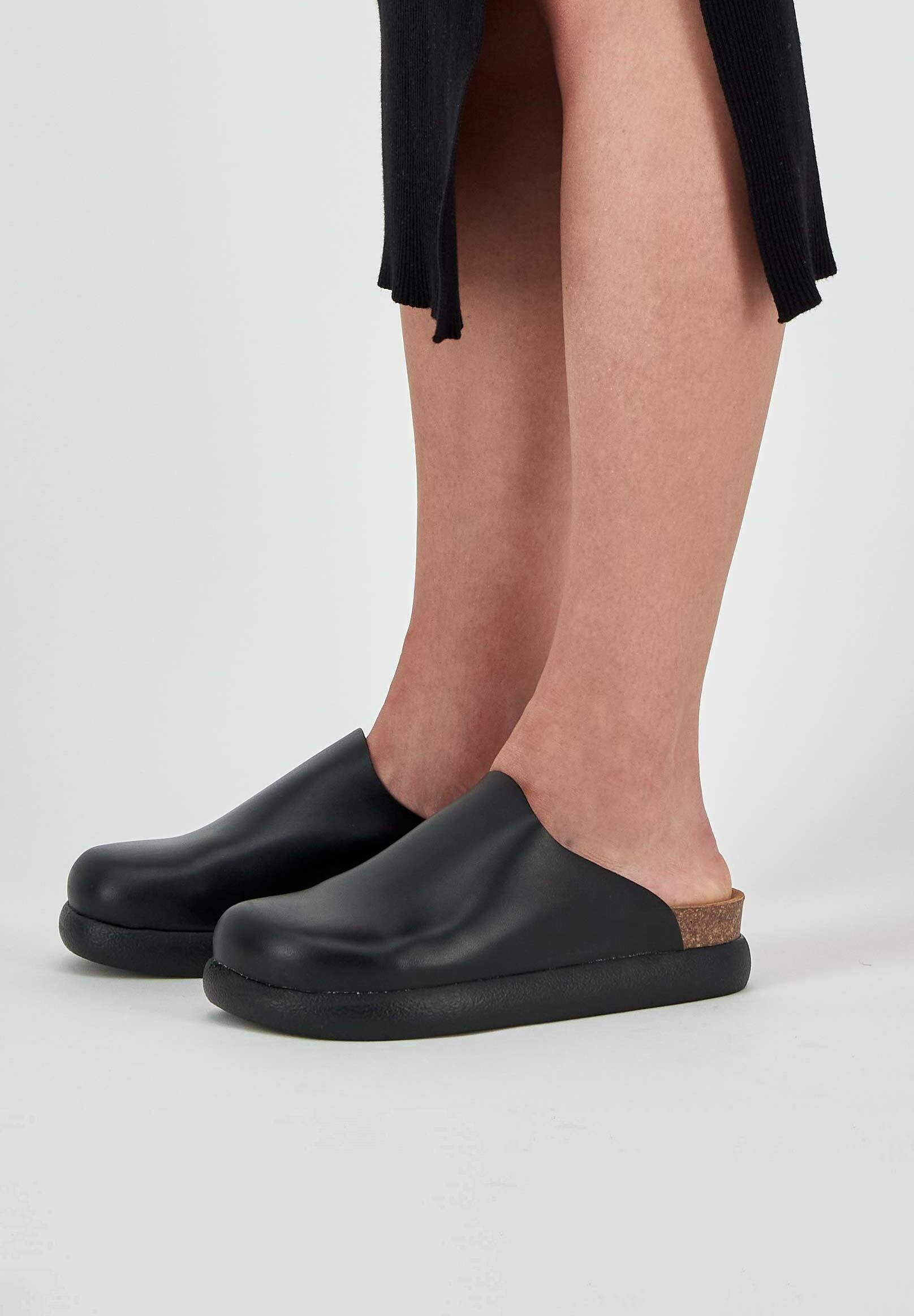 Scholl  IVY 2.0