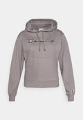 Champion ICONS TONAL HOODIE SWEATSHIRT WITH BIG LOGO