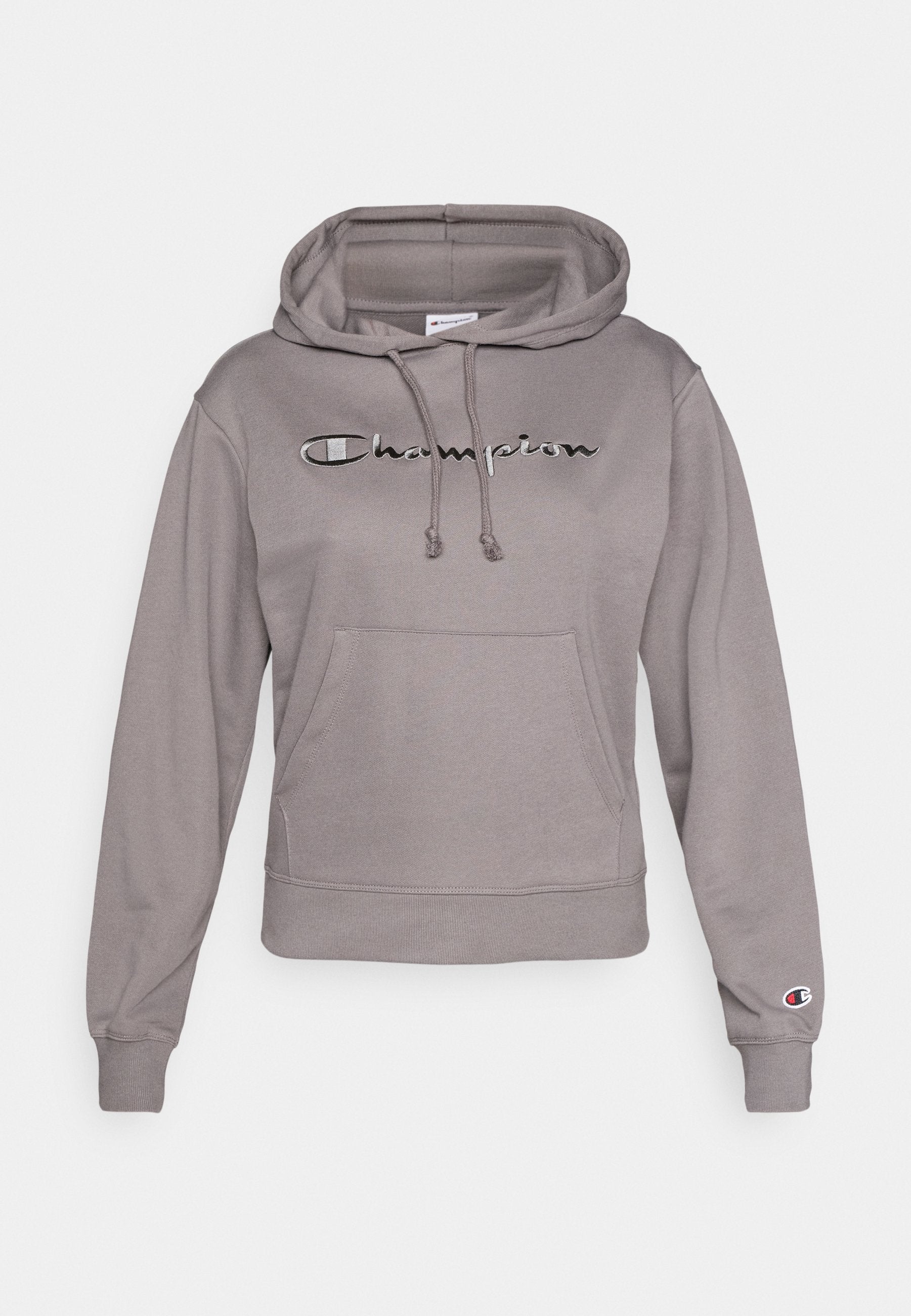 Champion ICONS TONAL HOODIE SWEATSHIRT WITH BIG LOGO