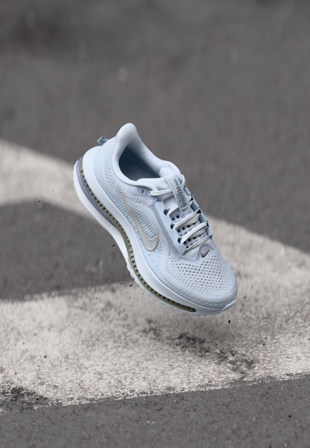 Nike Performance PEGASUS PREMIUM