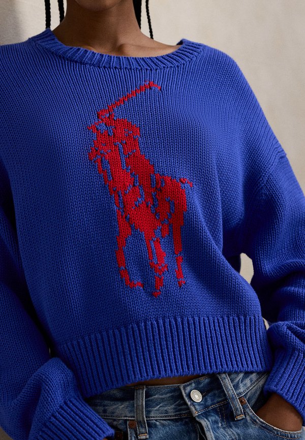 Polo Ralph Lauren BIG PONY COTTON CREWNECK SWEATER