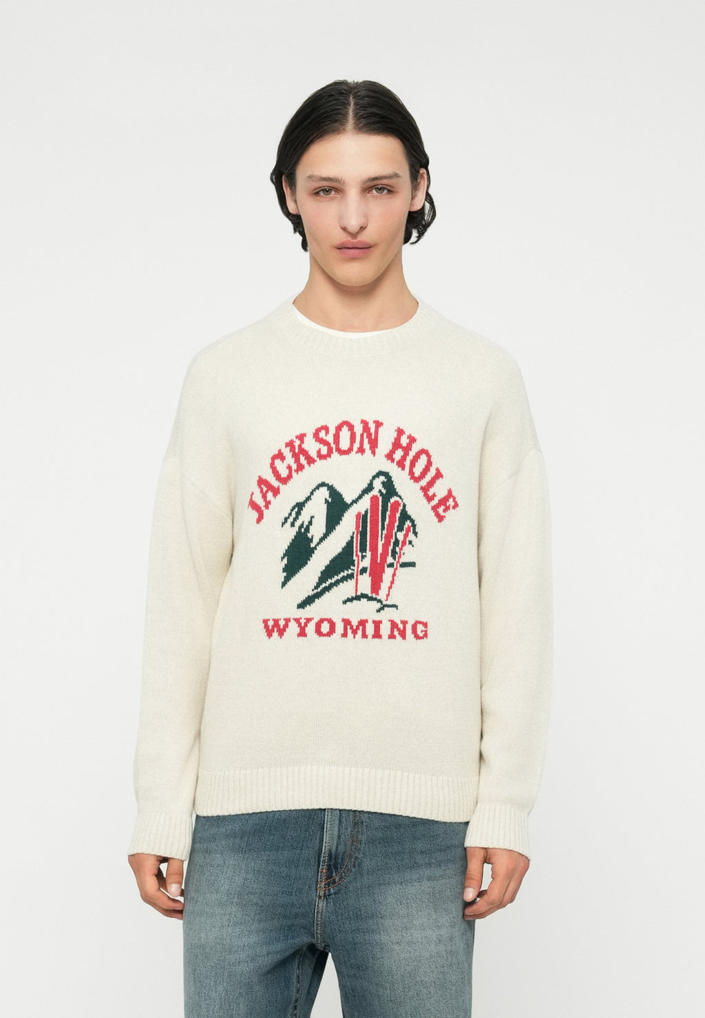 Hollister Co. INTARSIA CREW