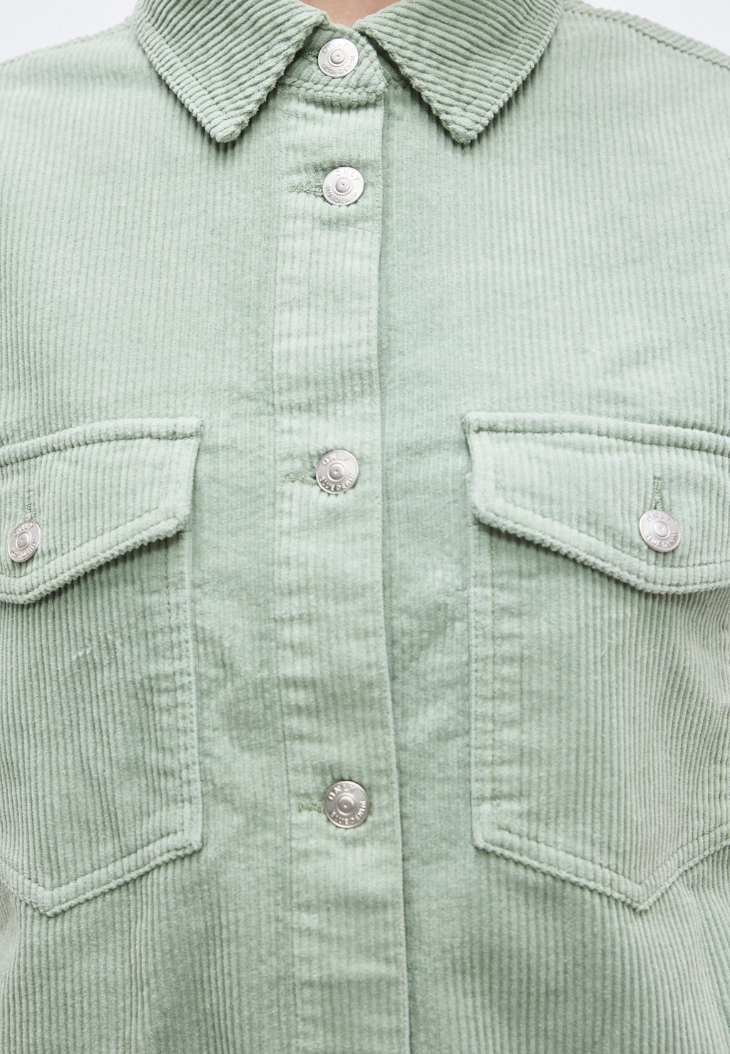 ONLTIGGY SHACKET Media 6