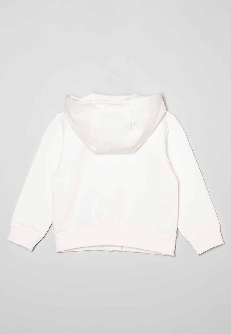 Roberto Cavalli Junior