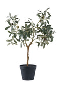 House Nordic OLIVE TREE