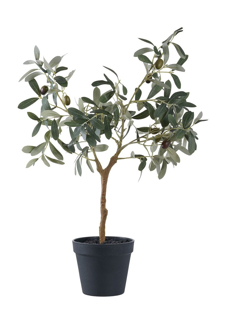 House Nordic OLIVE TREE