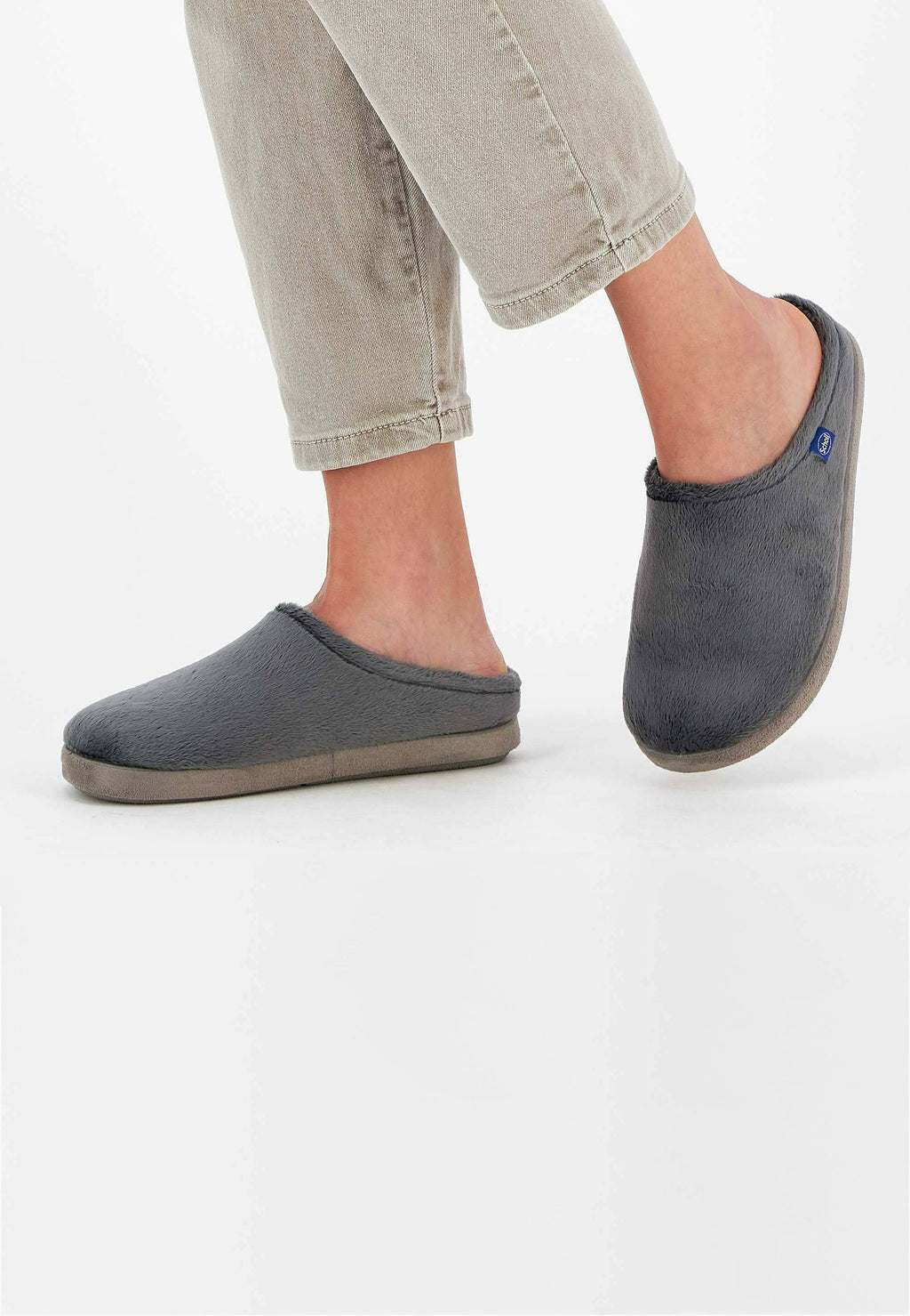 Scholl HOLLY