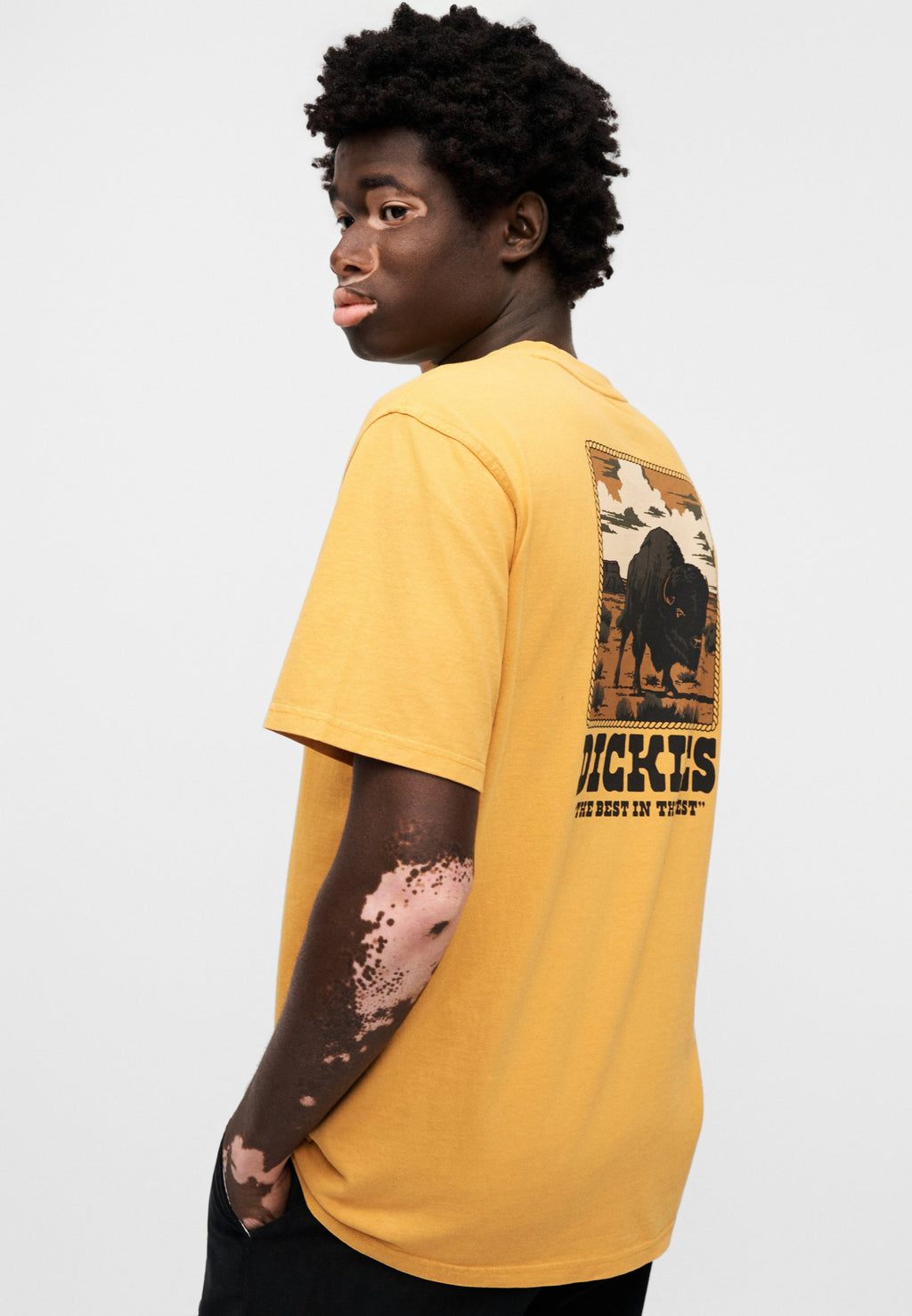 Dickies DARRTOWN TEE