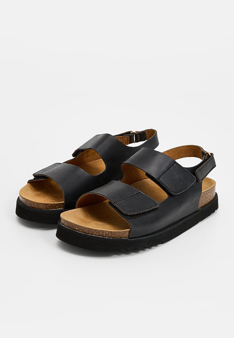 Scholl SIERRA