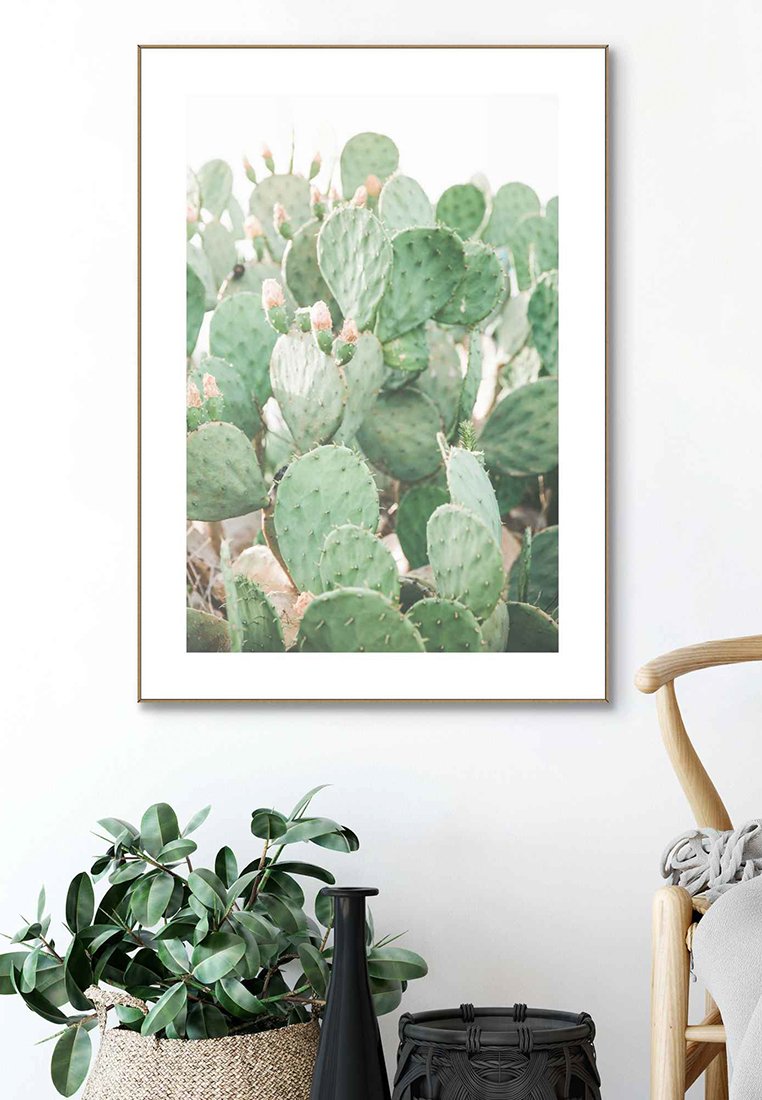Orange Wallz FLORAL CACTI