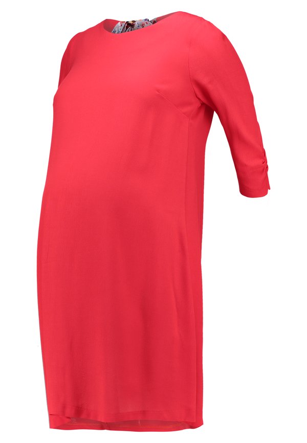 Envie de Fraise DALIA