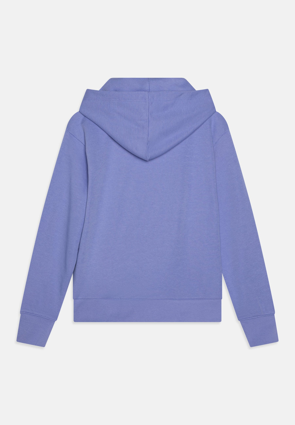 Champion ICONS HOODIE WITH LARGE LOGO
