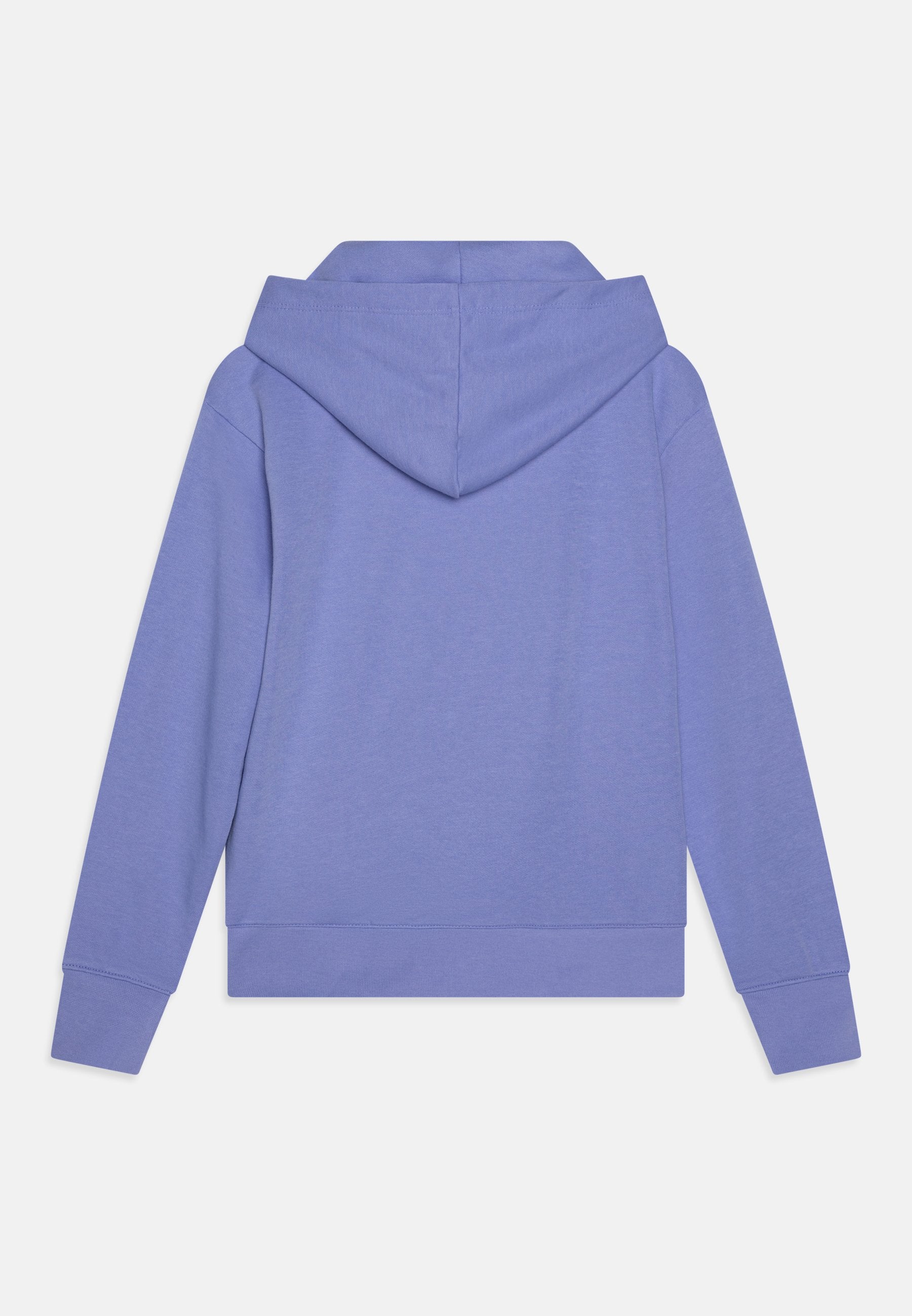 Champion ICONS HOODIE WITH LARGE LOGO