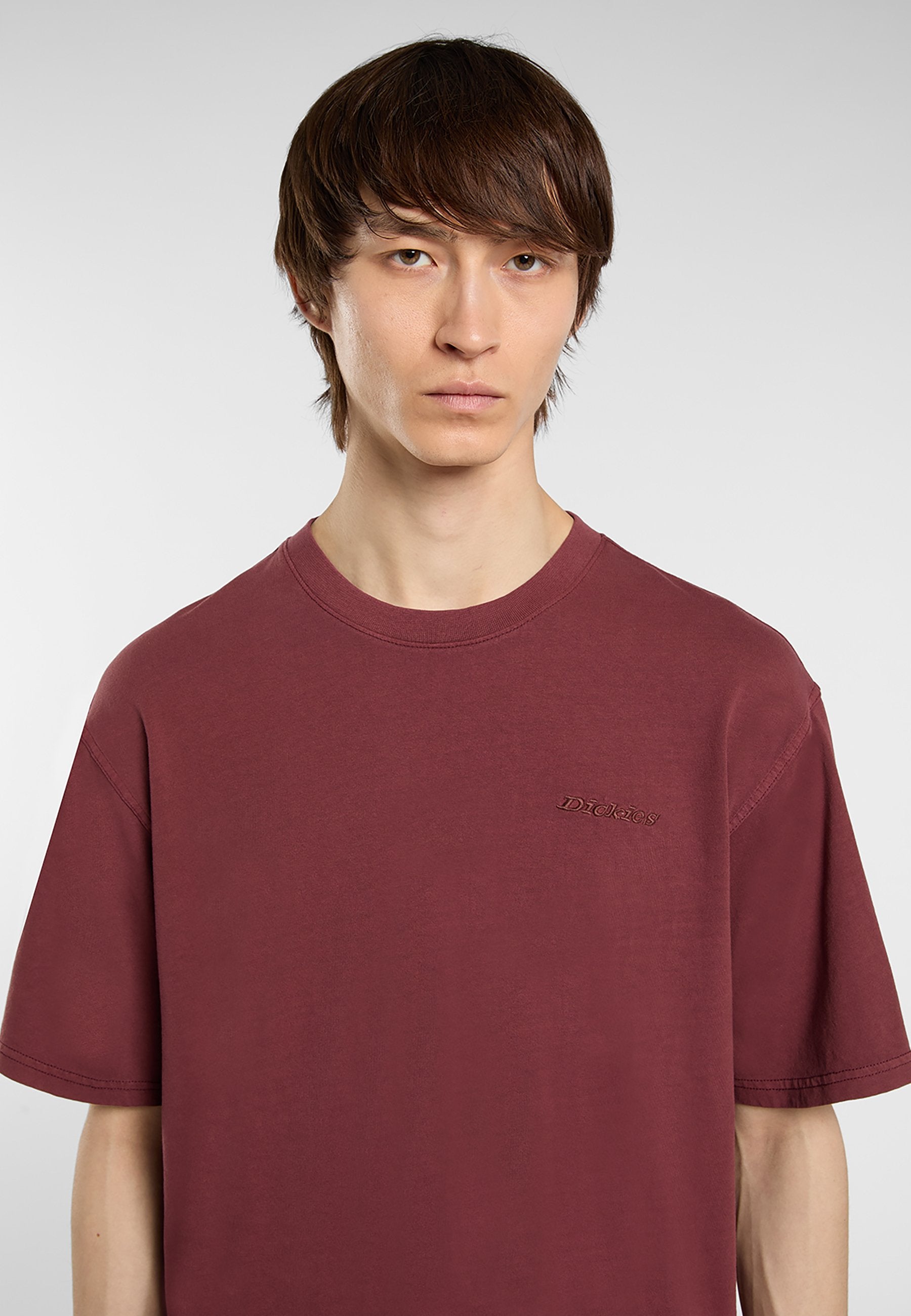 Dickies PLENTYWOOD TEE