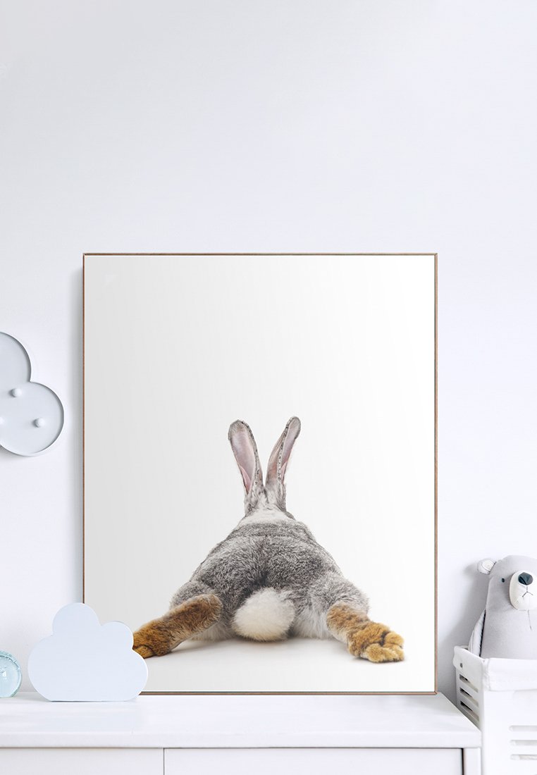 Orange Wallz RABBIT