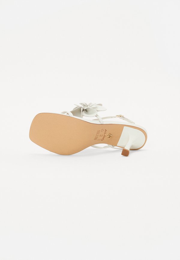 ALDO SANDFLOWER PILLOW WALK