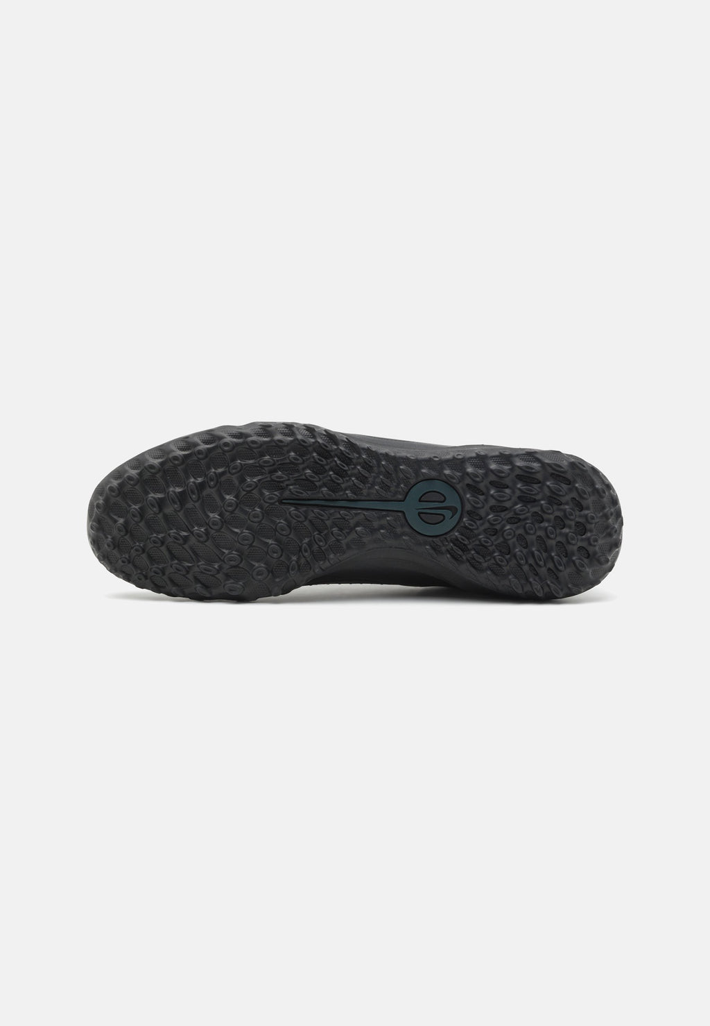 Nike Performance LEGEND 10 ACADEMY TF