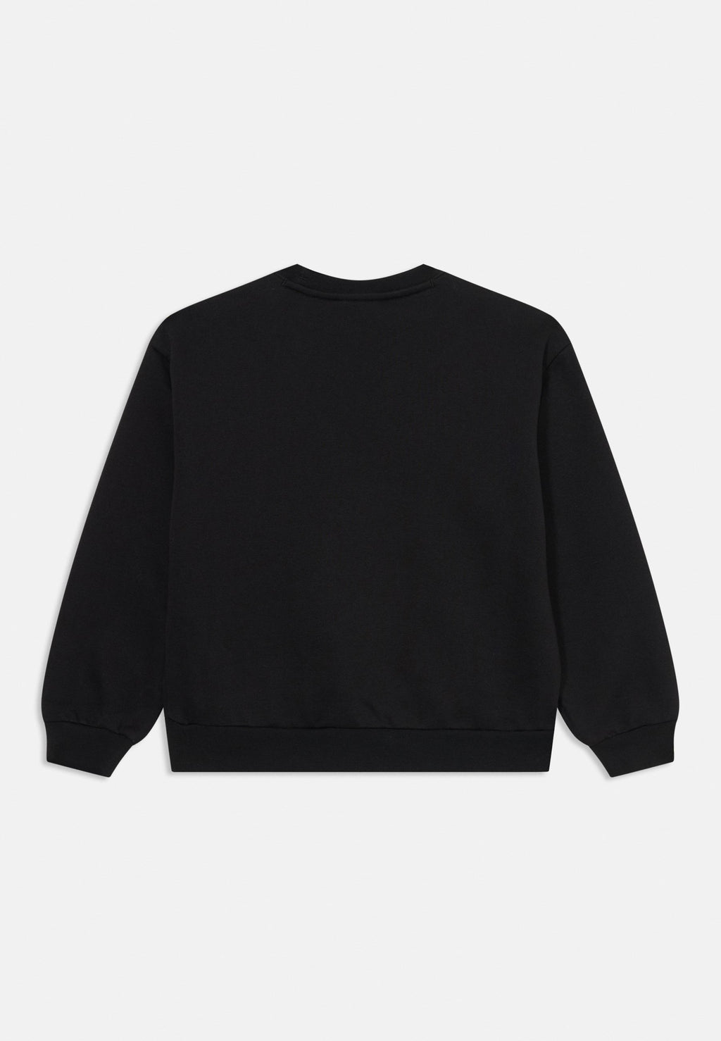 Champion ICONS CREW NECK