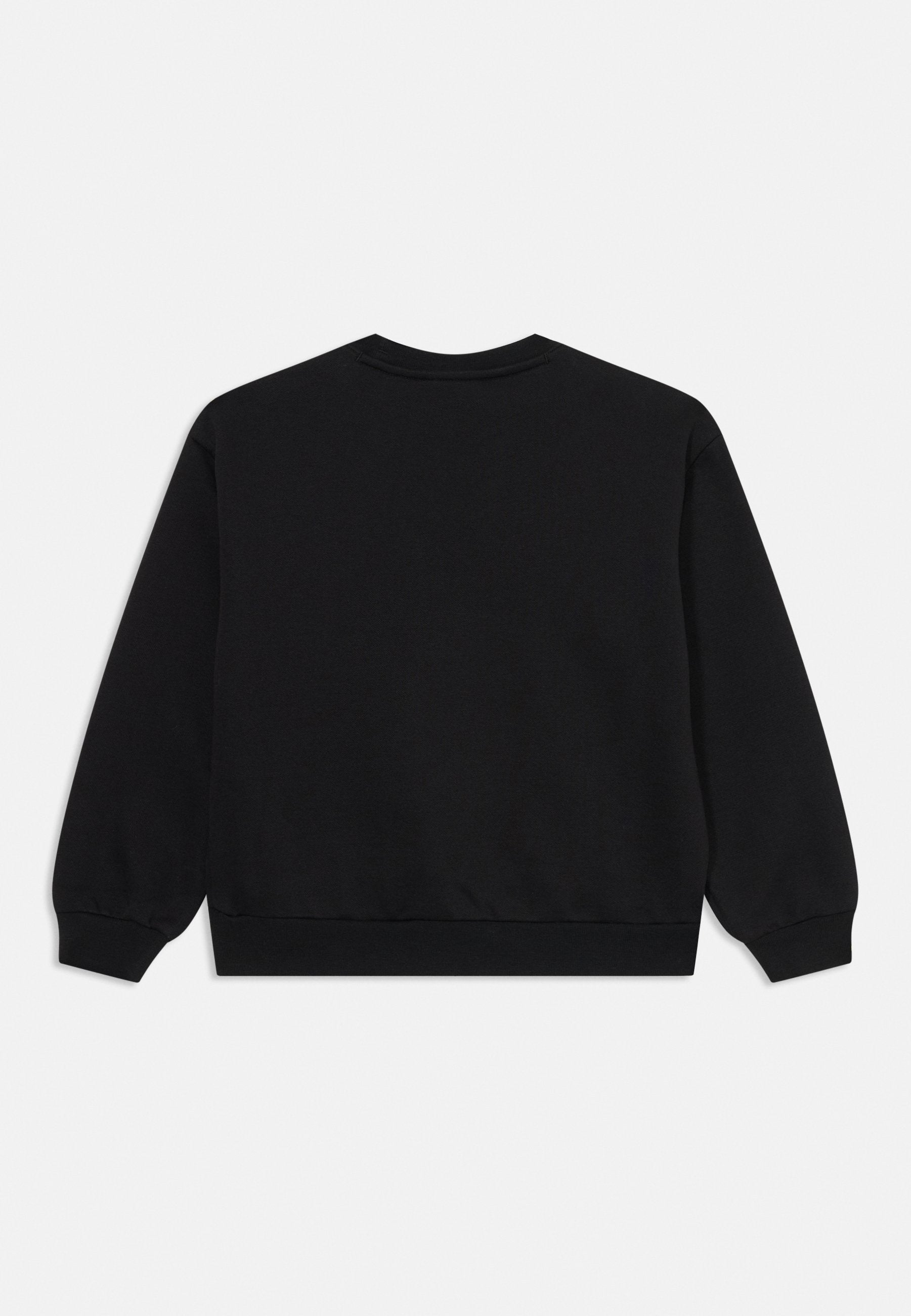 Champion ICONS CREW NECK