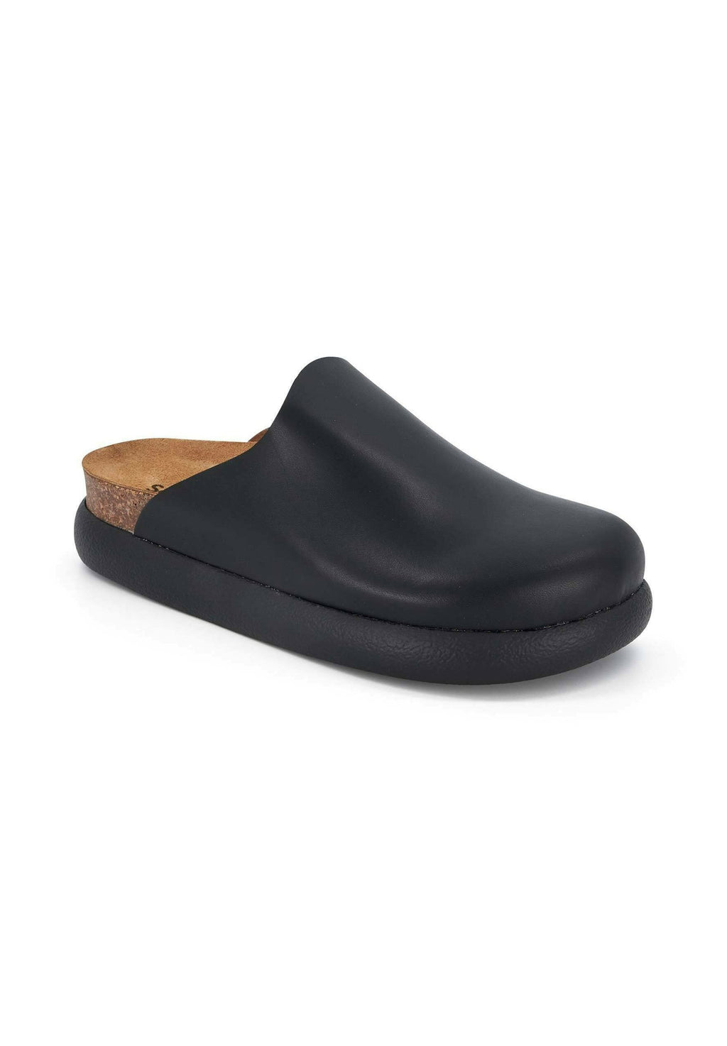 Scholl  IVY 2.0