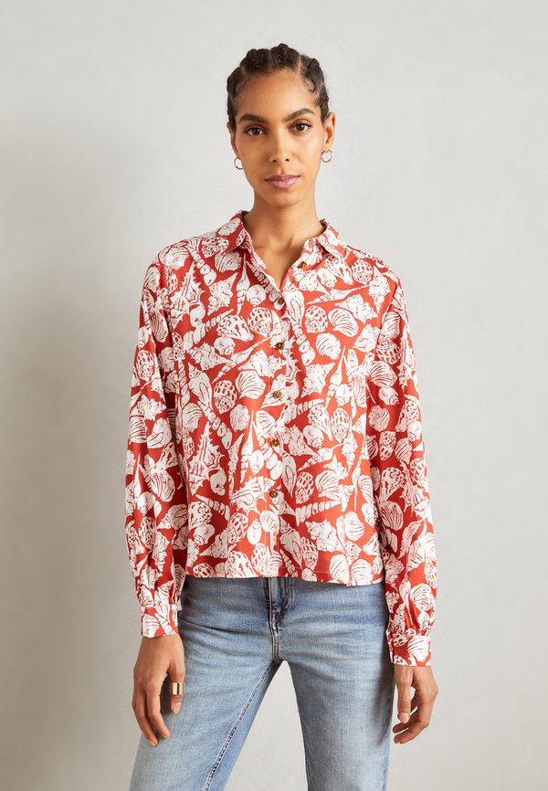 Scotch & Soda