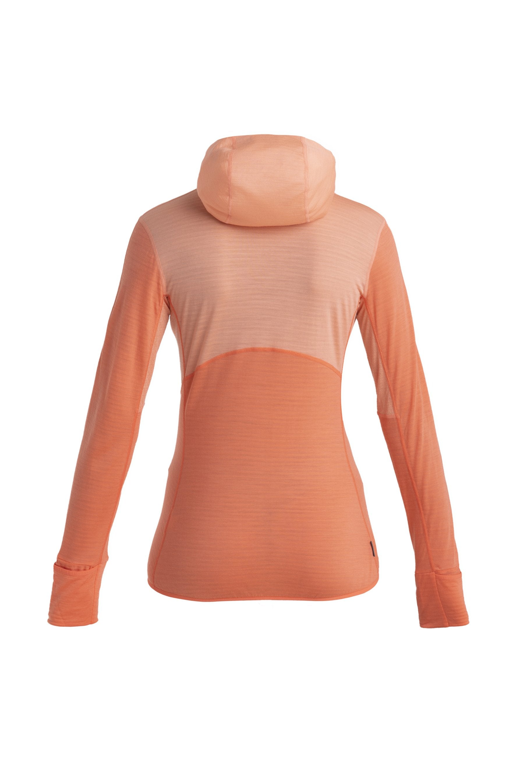 icebreaker MERINO 200 MID WEIGHT  REAL FLEECE DESCENDER  ZIP HOODIE