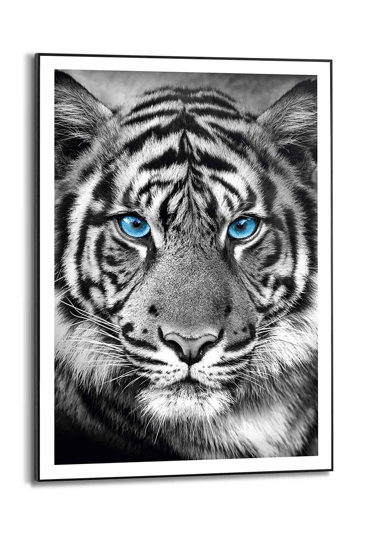Orange Wallz TIGER