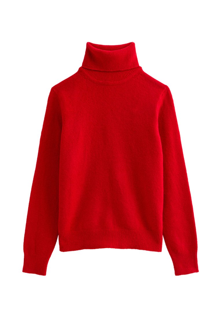 New Look ROLL NECK