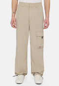 Dickies JACKSON PANT