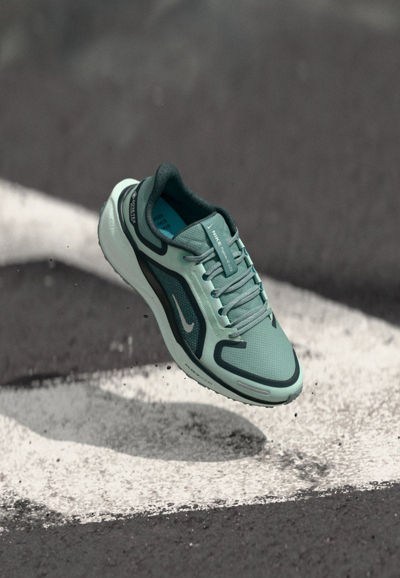 PEGASUS 41 GTX - Nike Performance - View 1
