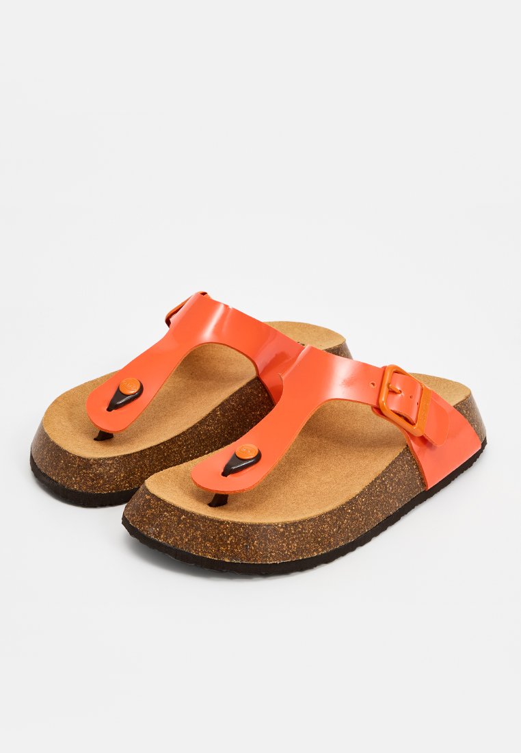 Scholl ANAIS