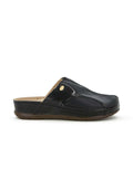 Scholl