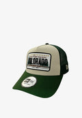 New Balance 9FORTY LICENCE PLATE UNISEX - Cap - beige green