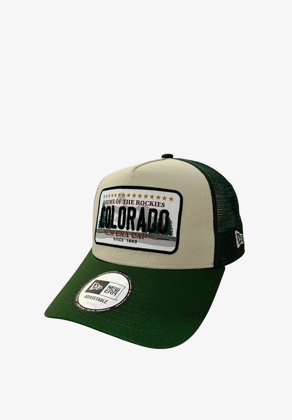 New Balance 9FORTY LICENCE PLATE UNISEX - Cap - beige green