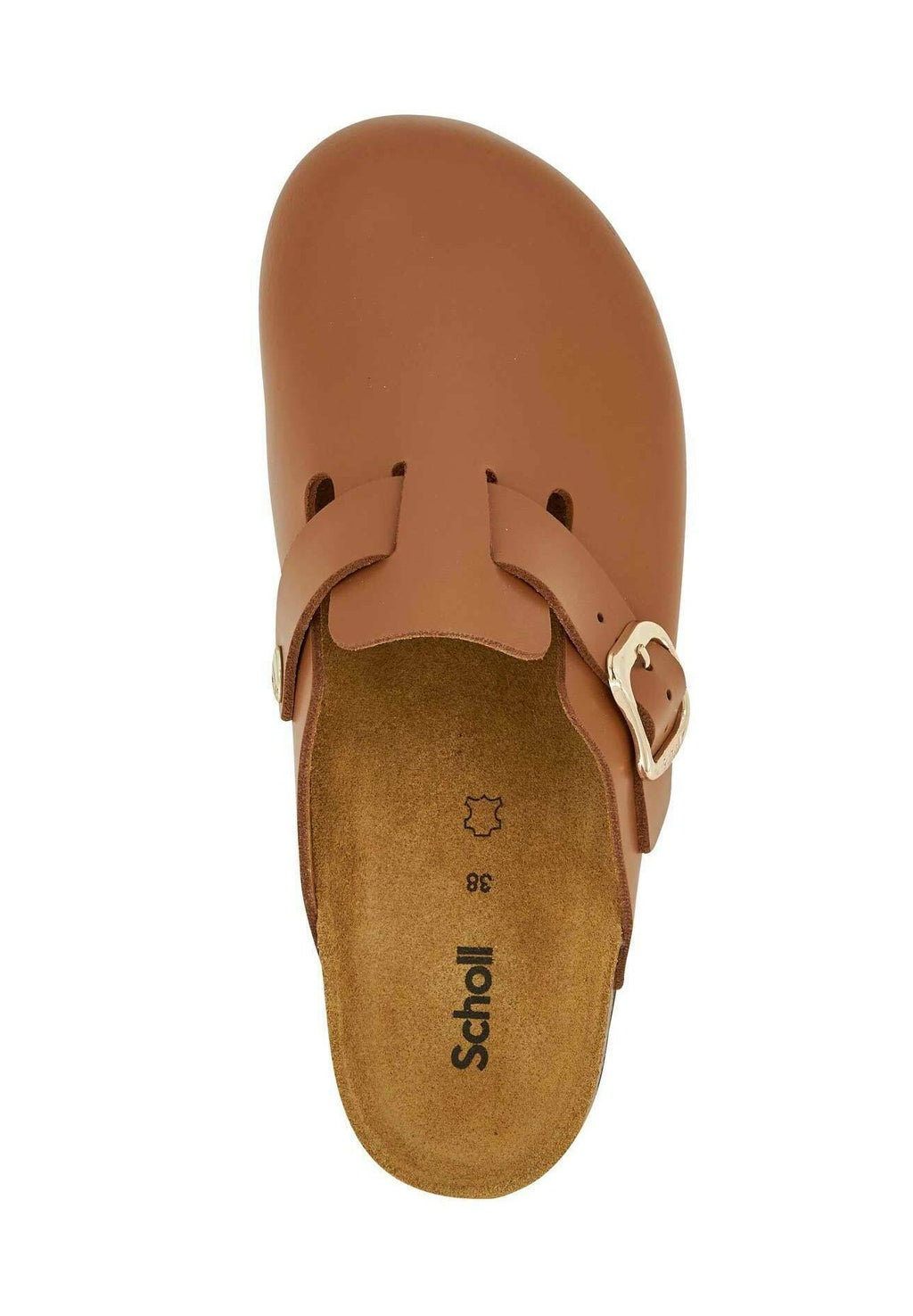 Scholl FAE NEW