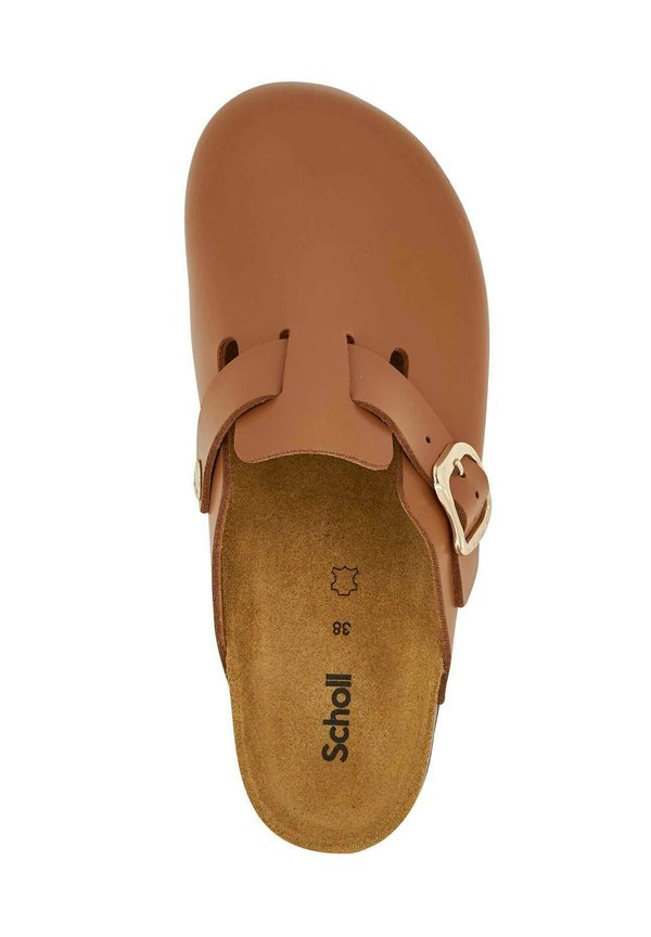 Scholl FAE NEW