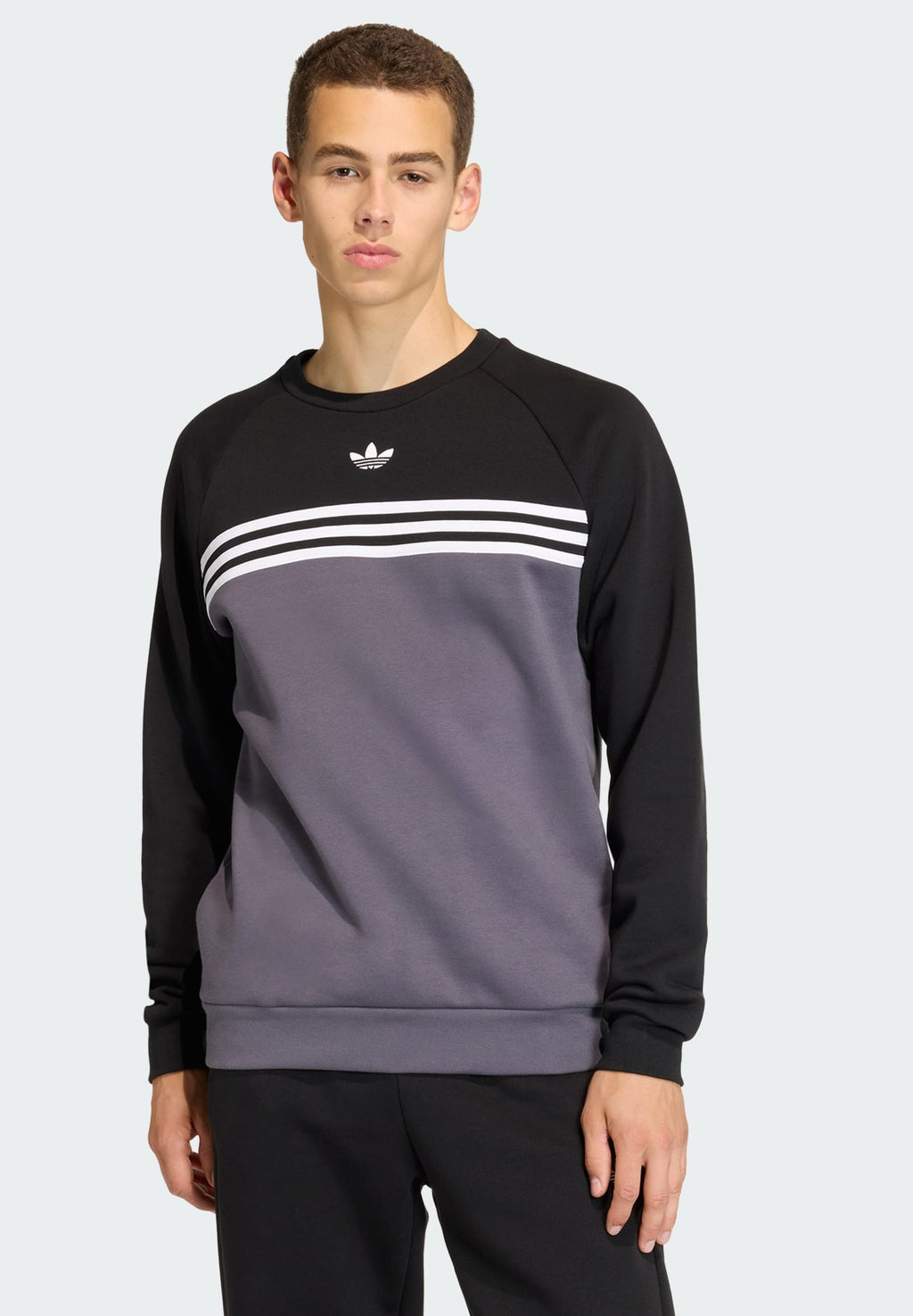 adidas Originals STRIPES CREW