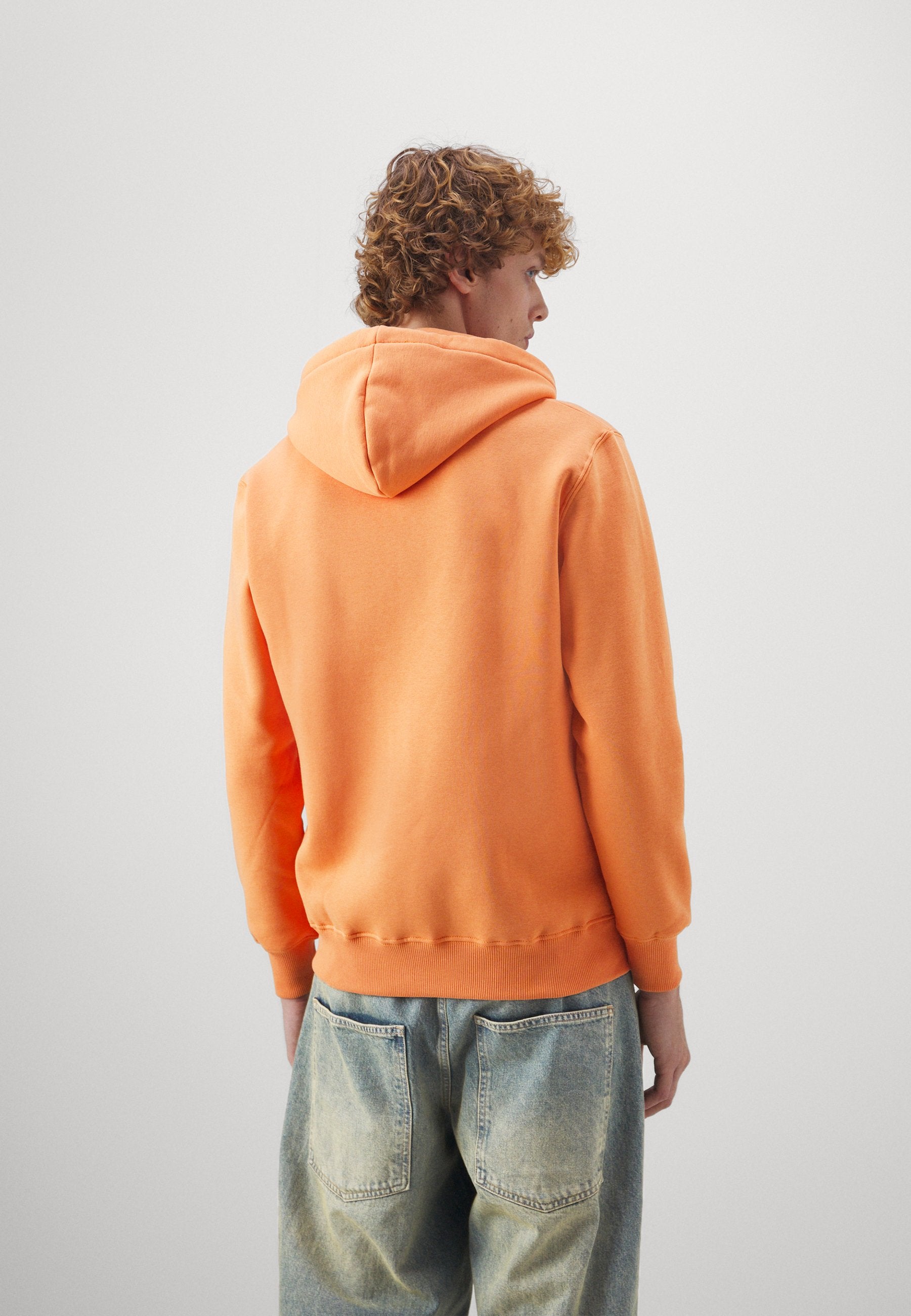 Alpha Industries BASIC ZIP HOODY