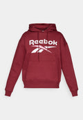 Reebok COLOR LOGO HOODIE