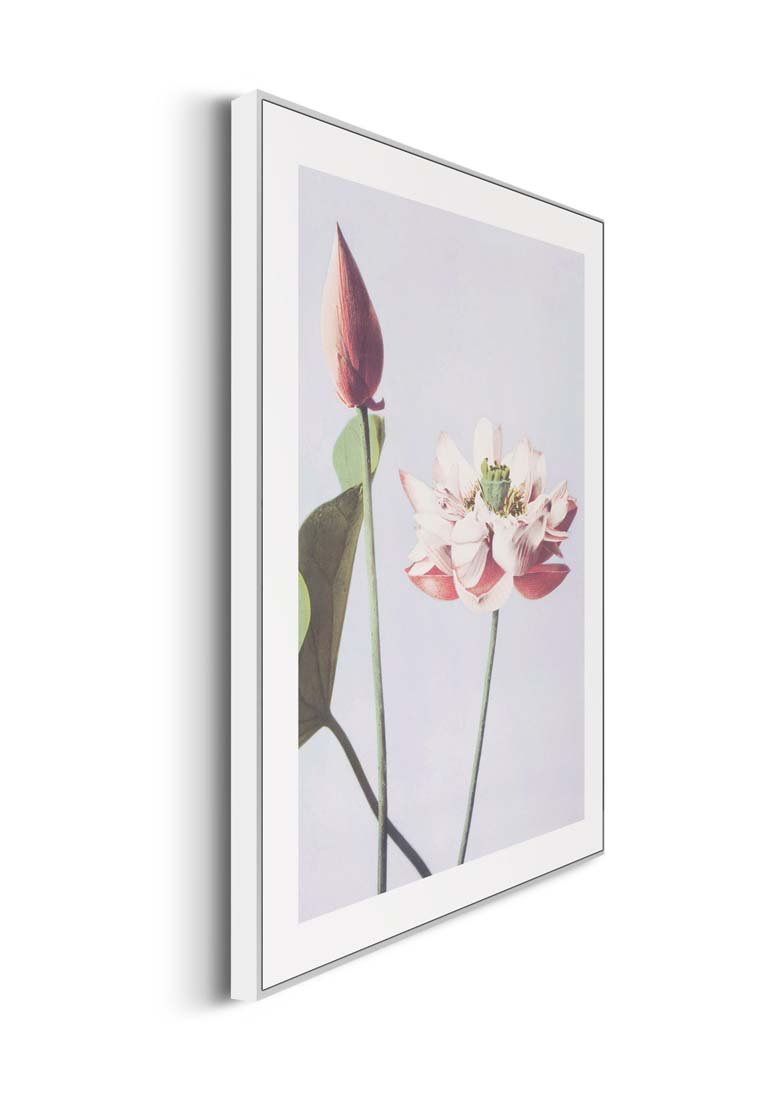 Orange Wallz FLOWER GARDEN SET