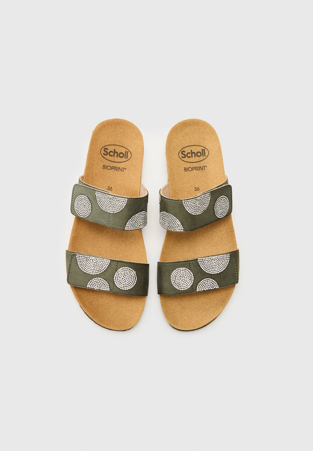 Scholl DUBAI