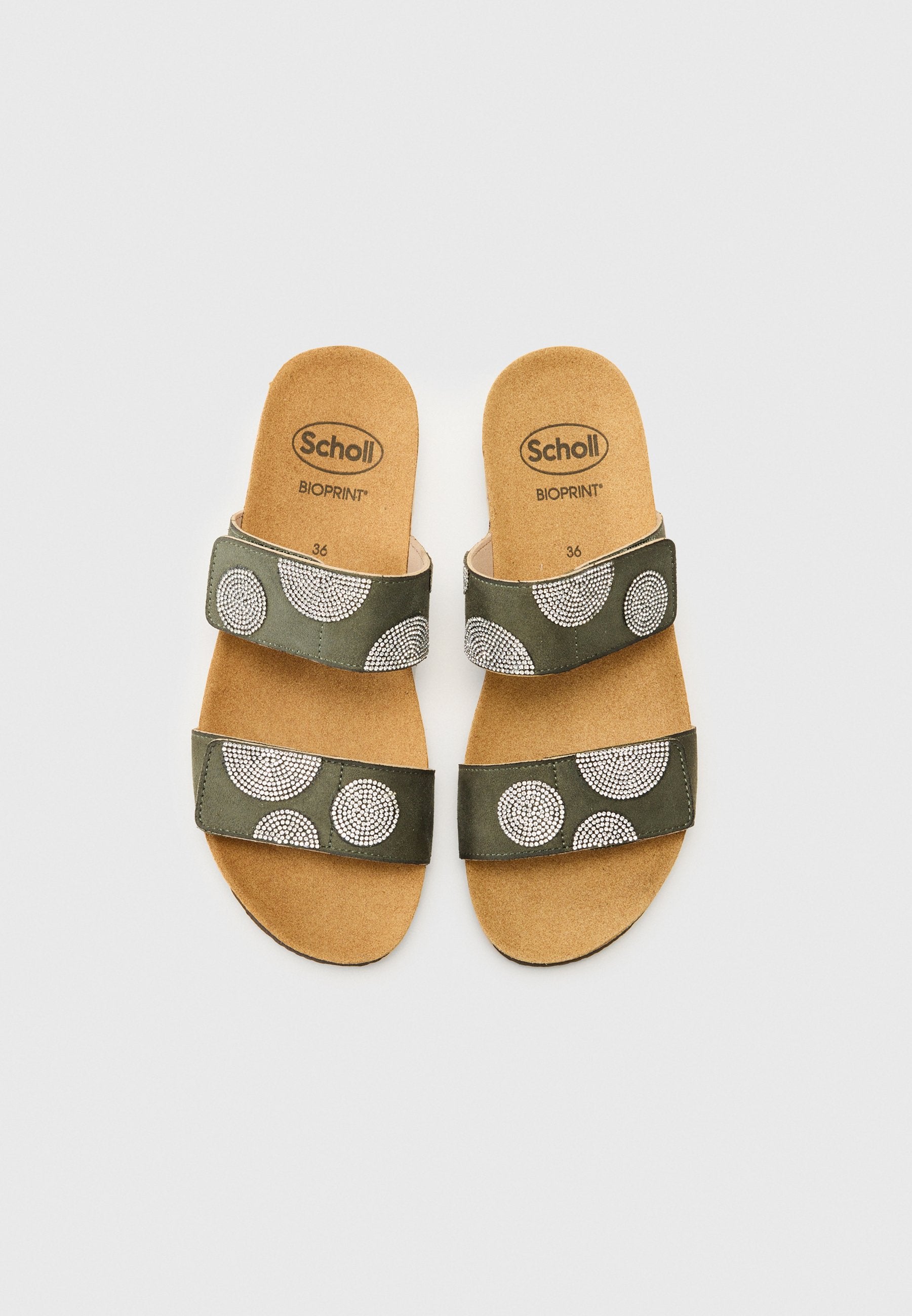 Scholl DUBAI