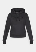 Champion ICONS TONAL HOODIE SWEATSHIRT WITH BIG LOGO