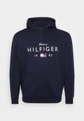 Tommy Hilfiger PLUS LOGO GRAPHIC FLEX FLEECE HOODY - Hoodie - desert sky