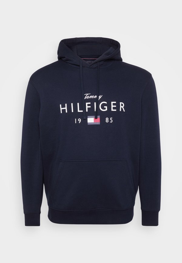 Tommy Hilfiger PLUS LOGO GRAPHIC FLEX FLEECE HOODY - Hoodie - desert sky