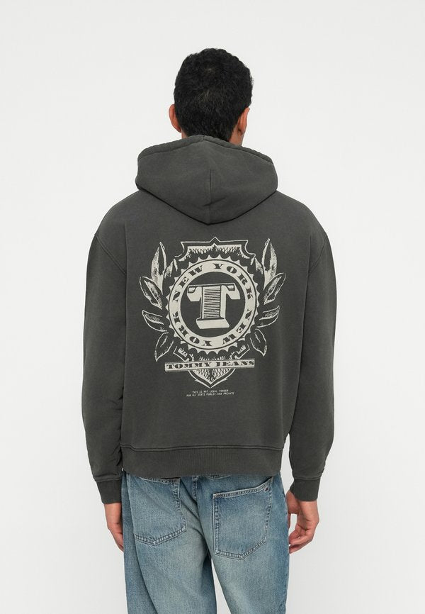 Tommy Jeans DOLLAR GRAPHIC HOOD